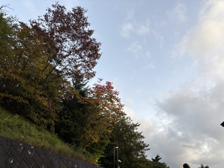 二本松市の紅葉